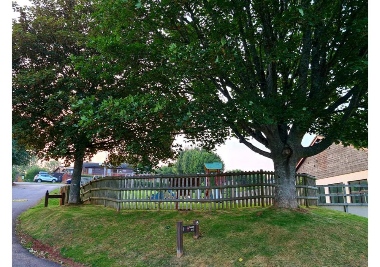 Butterfly Lodge Paignton Exterior foto